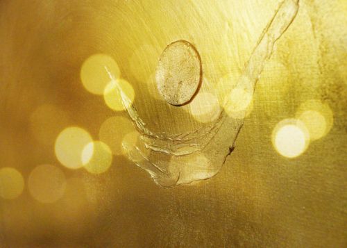 goldene Lichtoase
